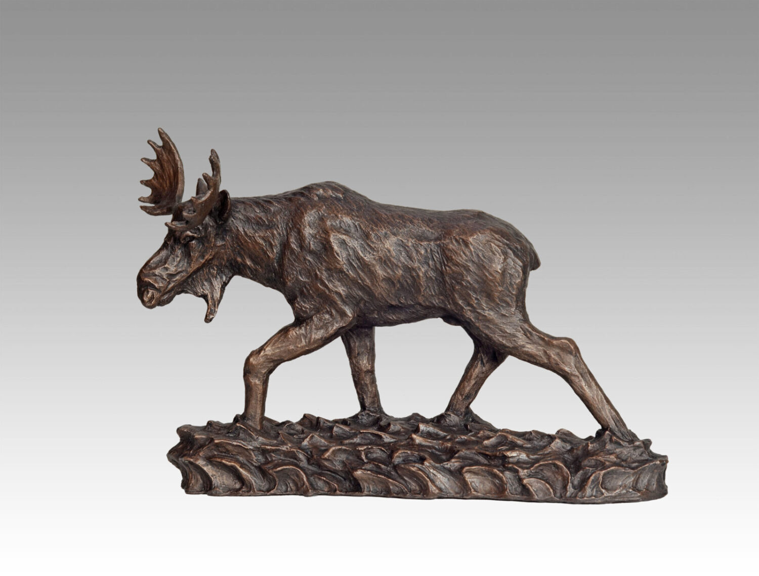 Gallery, River's Wild, $375 CAD, Metal Infused, 17 ¼" L x 11" H, Edition 60, Wildlife Sculpture of a moose, Sculptor Tyler Fauvelle