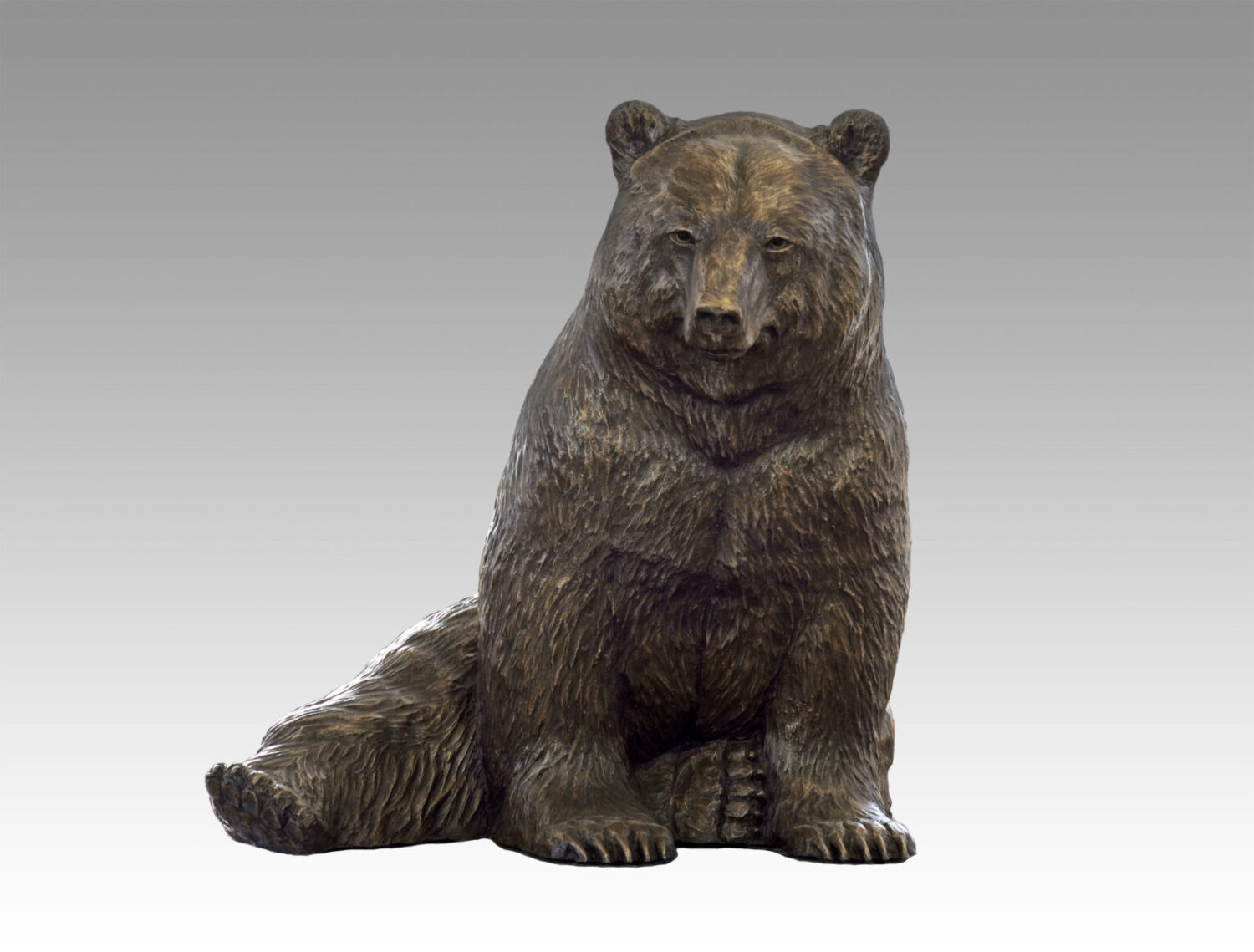 Gallery, Bear Pause, $3,000 CAD, Metal Infused (Exterior/Interior), 31” W x 25 ½" H, Edition 15, Wildlife Sculpture of a bear in sitting position, Sculptor Tyler Fauvelle