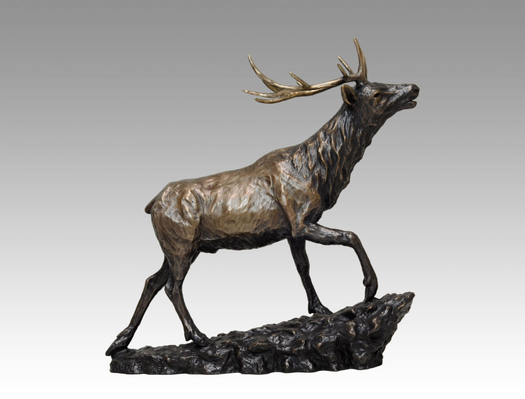 Gallery, Wapiti (Elk), Bronze cast, 16” L x 15 ¾” H, Edition 12, Please contact for price and availability, Bronze Sculpture of an elk, Sculptor Tyler Fauvelle
