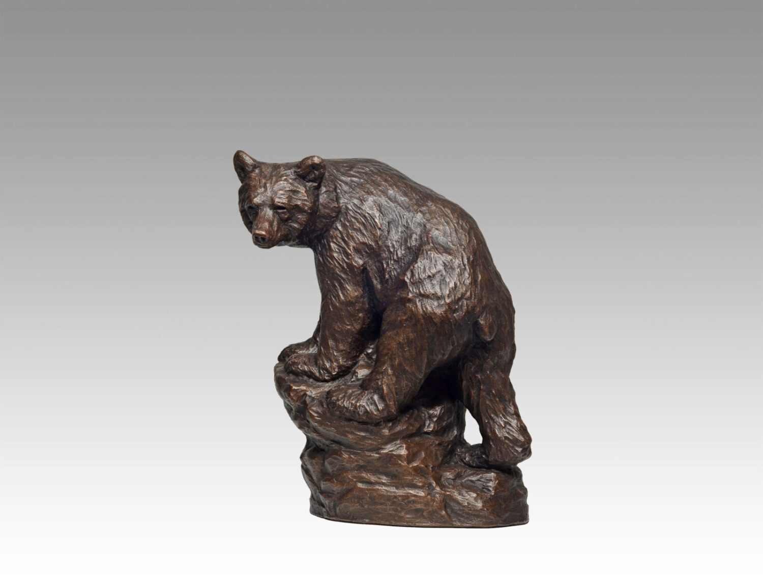 Gallery, Spirit Bear, $260 CAD, Metal Infused, 9 ½” H, Edition 60, Wildlife Sculpture of a spirit bear, Sculptor Tyler Fauvelle