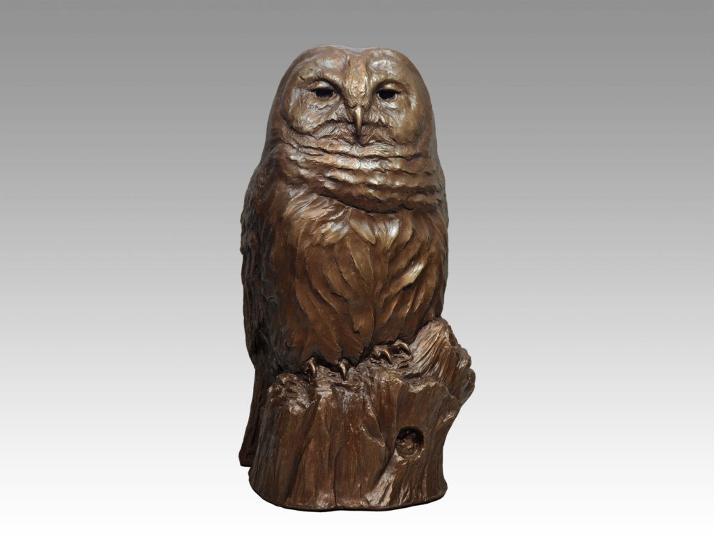 Gallery, The "Bard", $1,300 CAD, Metal Infused, 18 ¾” H, Edition 30, Wildlife Sculpture of a barred owl, Sculptor Tyler Fauvelle
